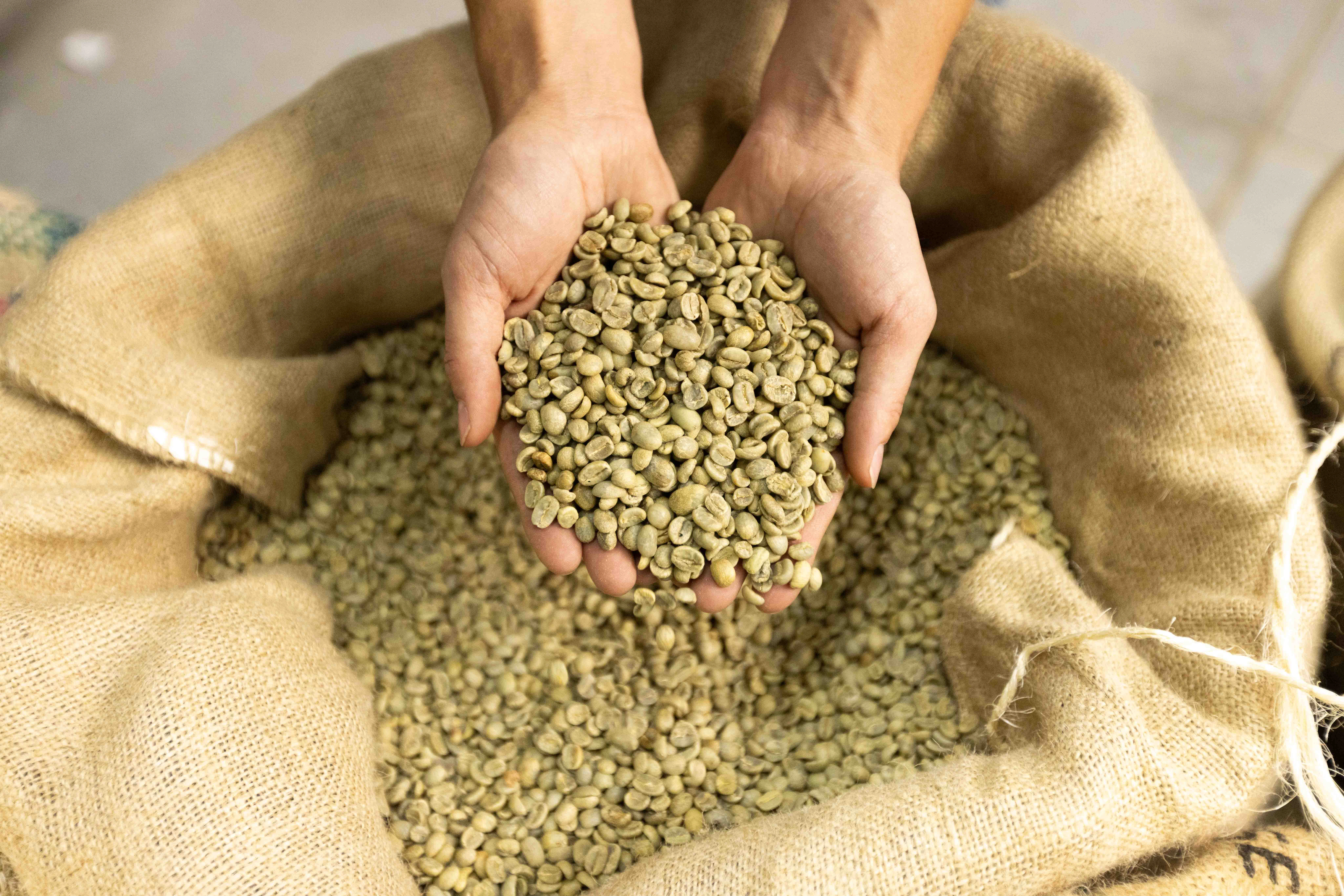 Coffee sourcing regions around the world