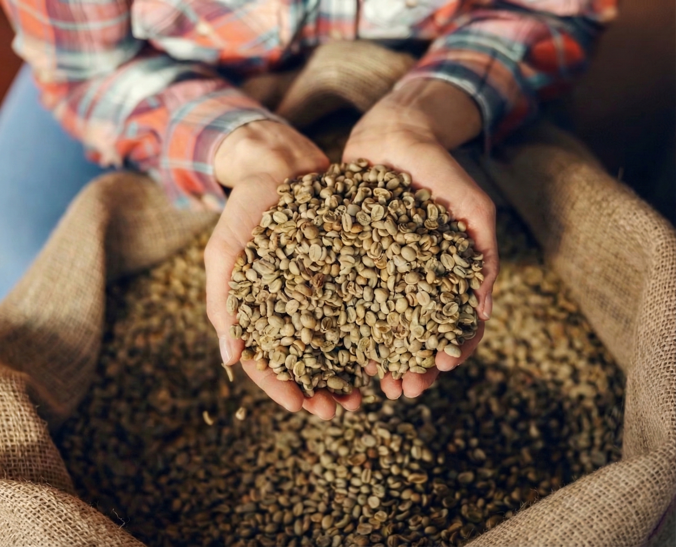 Coffee farm partnerships