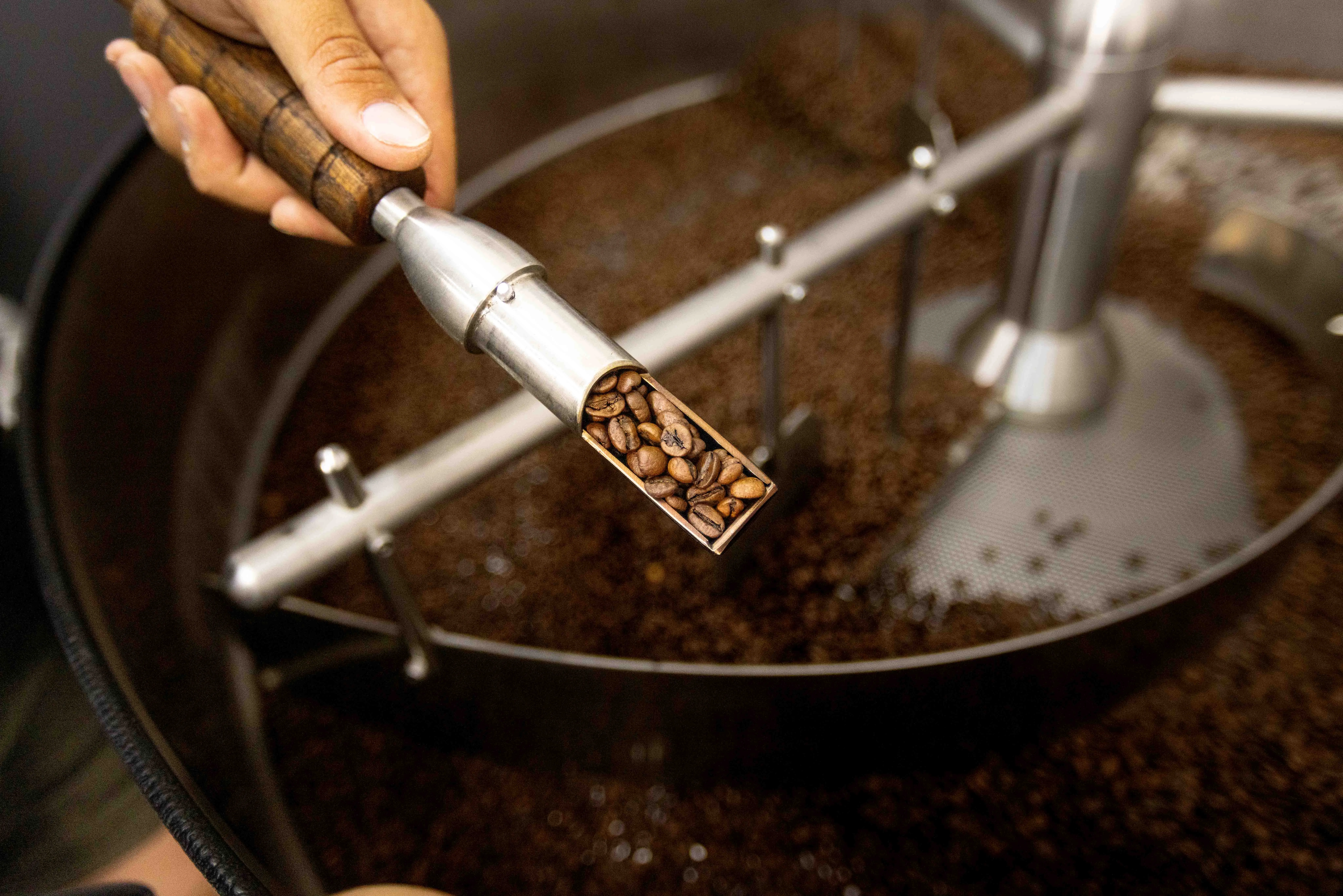 Coffee roasting profiles and tasting